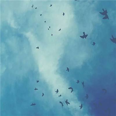 乐宝体育官网登录入口下载手机版