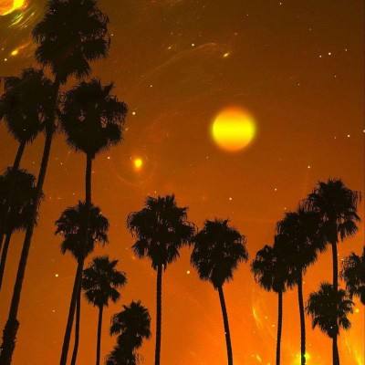 开全站登录app手机app下载