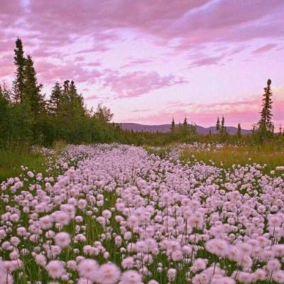 pg棋牌软件平台