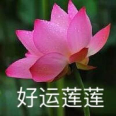 pg麻将胡了网站